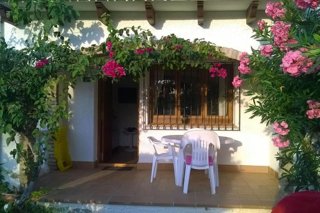 Appartamento Casa En Denia Con Piscina Y Jardin Esterno foto